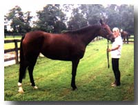 Cautionary in August 2004