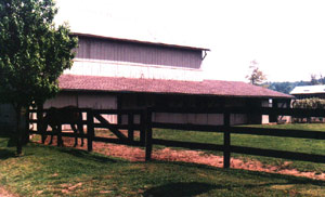 The Barn