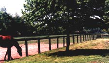 Riverfield