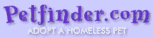 Petfinder.com