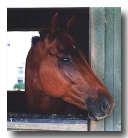 Stormy, now Rudy, in Nov 2004